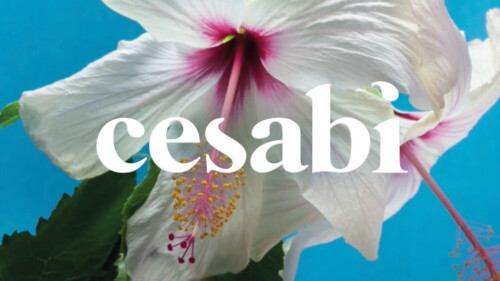 Product Brand Development - Brand Development Cesabi Thumbnail Flower Logo