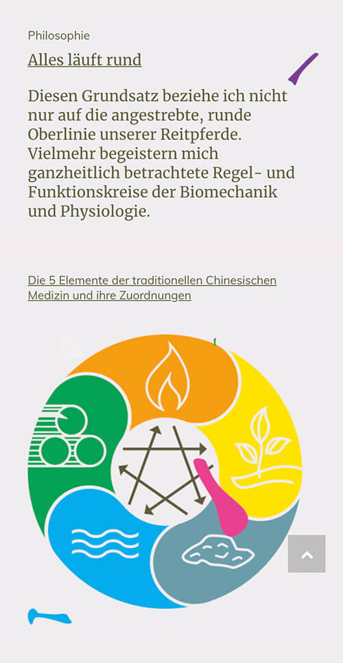 Aufmerksamkeitsstarkes Brand Design – Equiethic – Reitausbildung- und Gesundheitskonzepte – Interface Design – Mobil