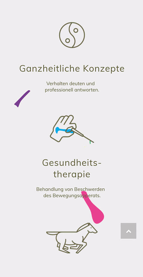 Aufmerksamkeitsstarkes Brand Design – Equiethic – Reitausbildung- und Gesundheitskonzepte – Interface Design – Mobil